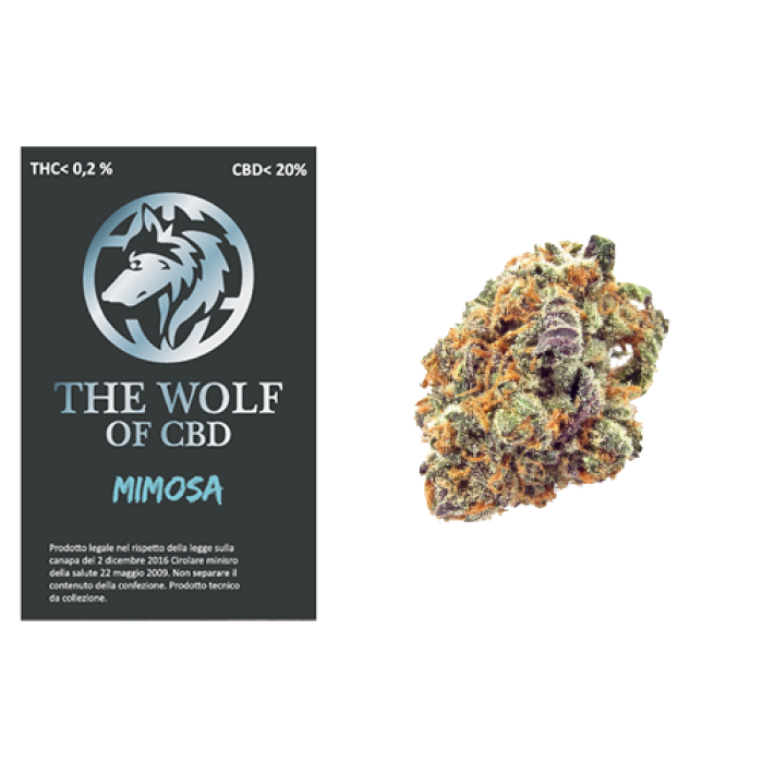 The Wolf of CBD Mimosa 3gr